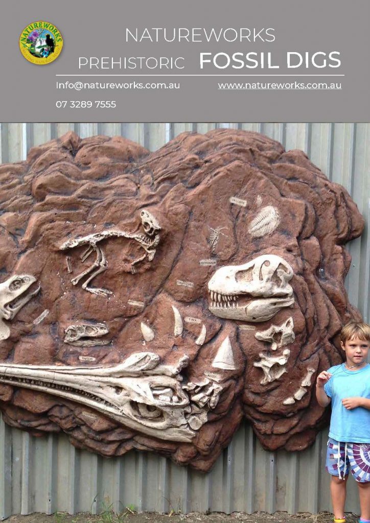 Quality Fossil digs for Childcare centres - schools, museums, outdoor playgrounds - Prehistoric theming