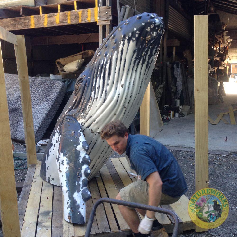 Natureworks Australia Humpback Whale in Breaching Pose - Image 8