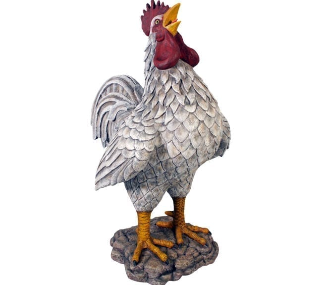 Rooster Colossal Barnyard White