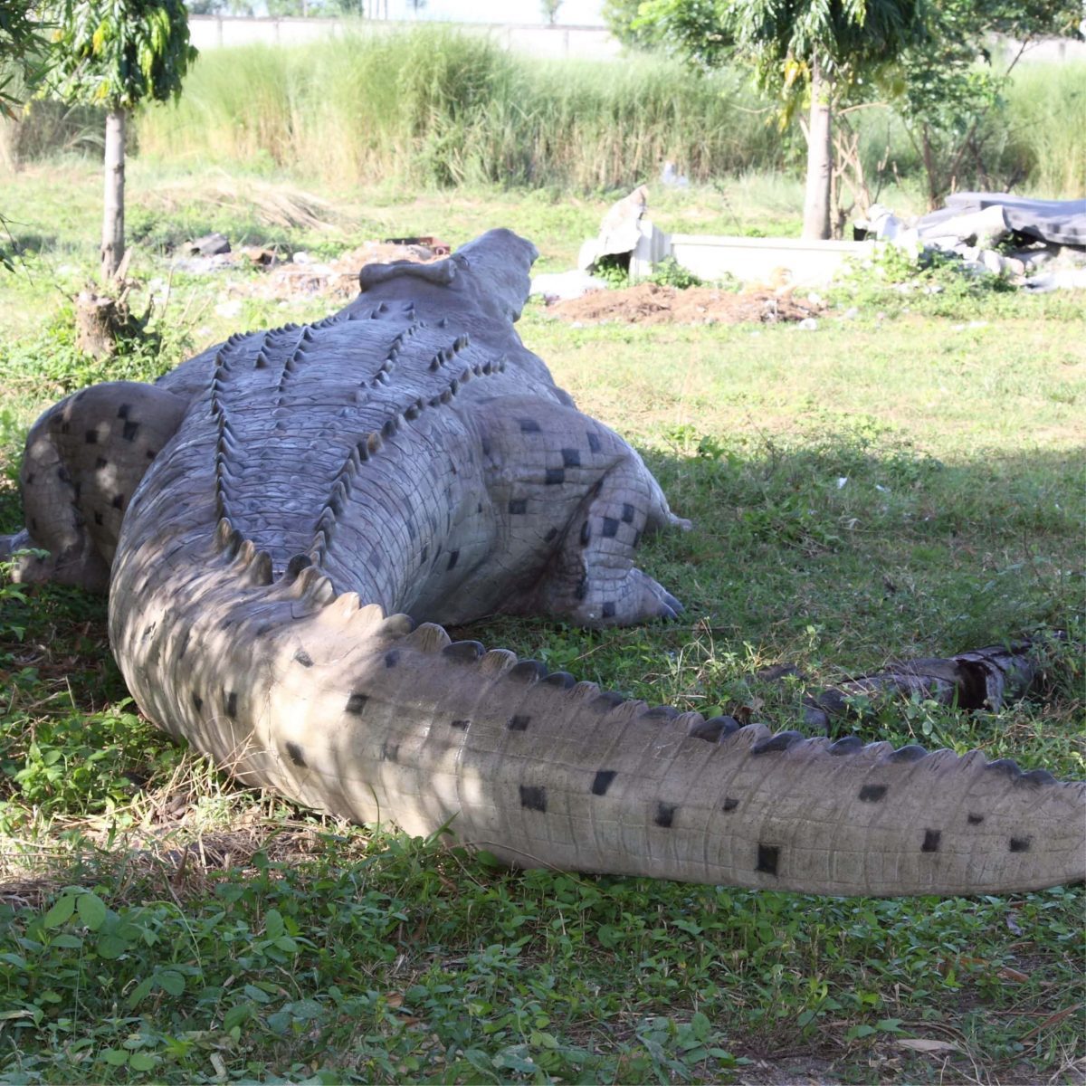Natureworks Australia Crocodileft Replicaofamonstercrocodilestatue