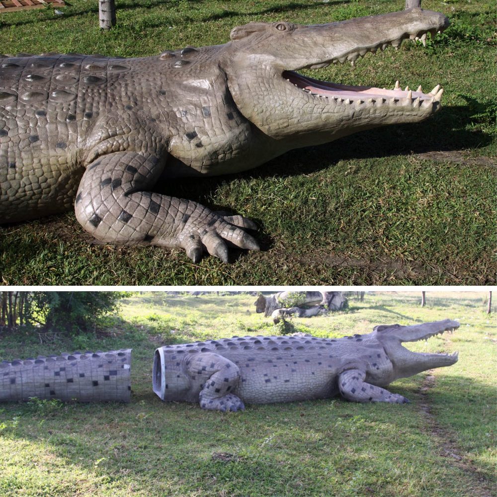 Crocodileftsculpturecapturedoutside