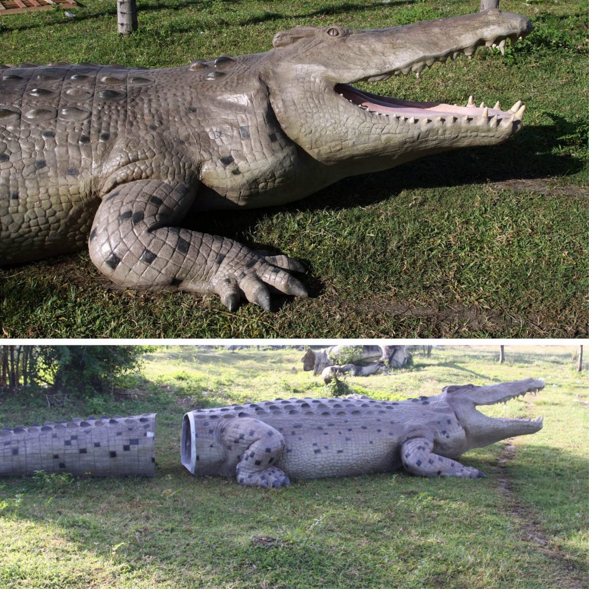 Natureworks Australia 28ft Giant saltwater crocodile sculpture outside