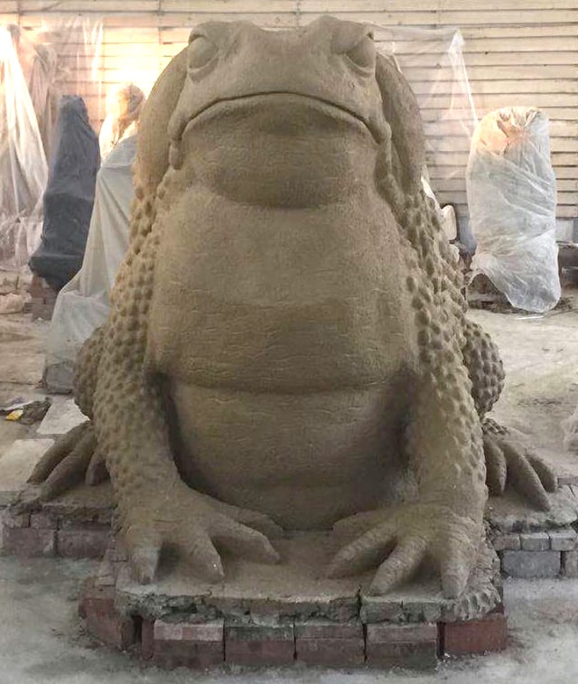 Natureworks Australia M Cane Toad in production front view