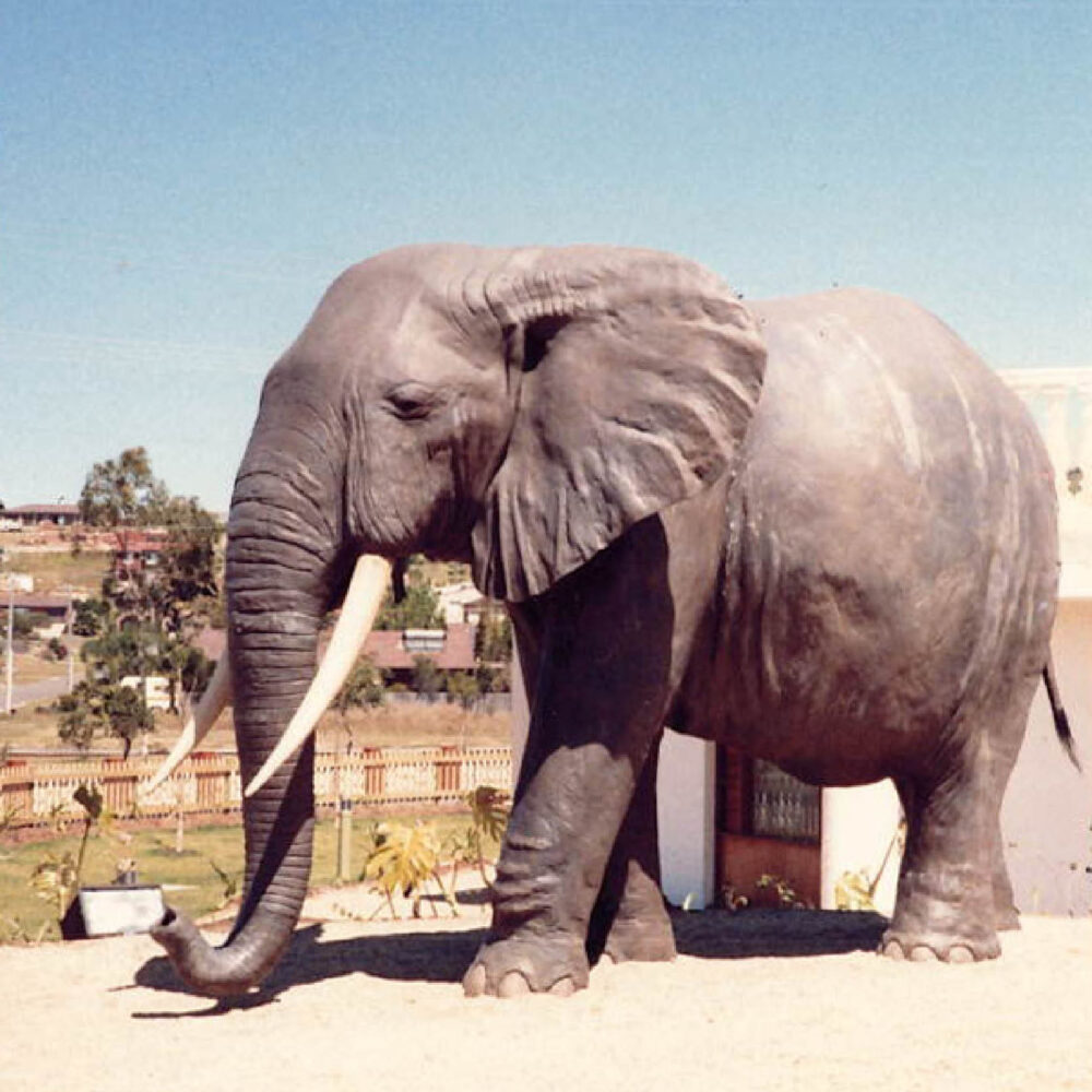 African elephant - 100059 size- L 374cm x W 196cm x H 243cm - 230kg