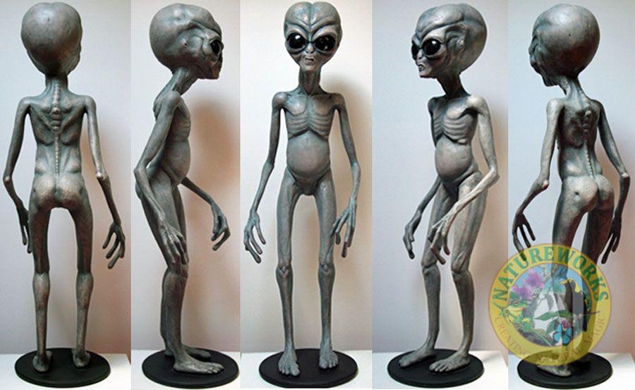 Natureworks Australia Alien - Zetan - full 3D model - showing all various views