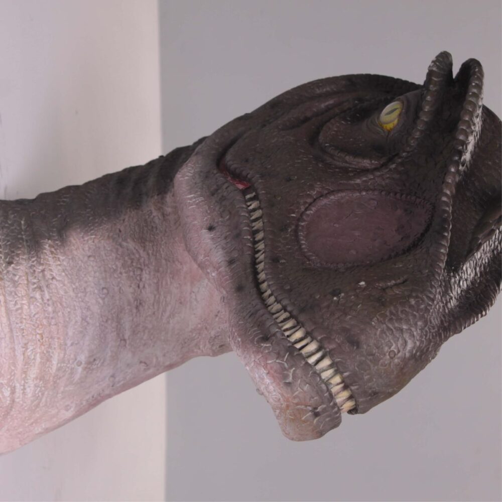 Allosaurus_Head_&_Neck_Only_Mouth_Closed - front view of head