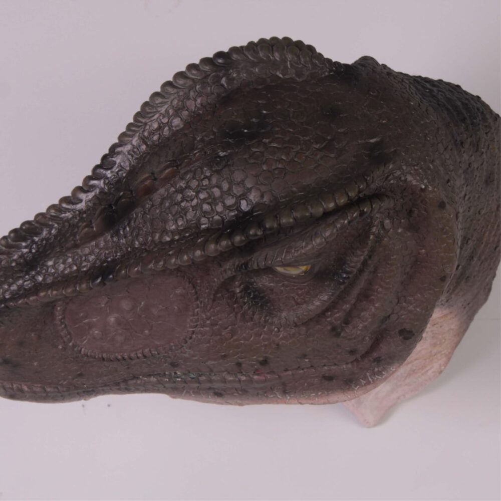 Allosaurus_Head_&_Neck_Only_Mouth_Closed showing top of head