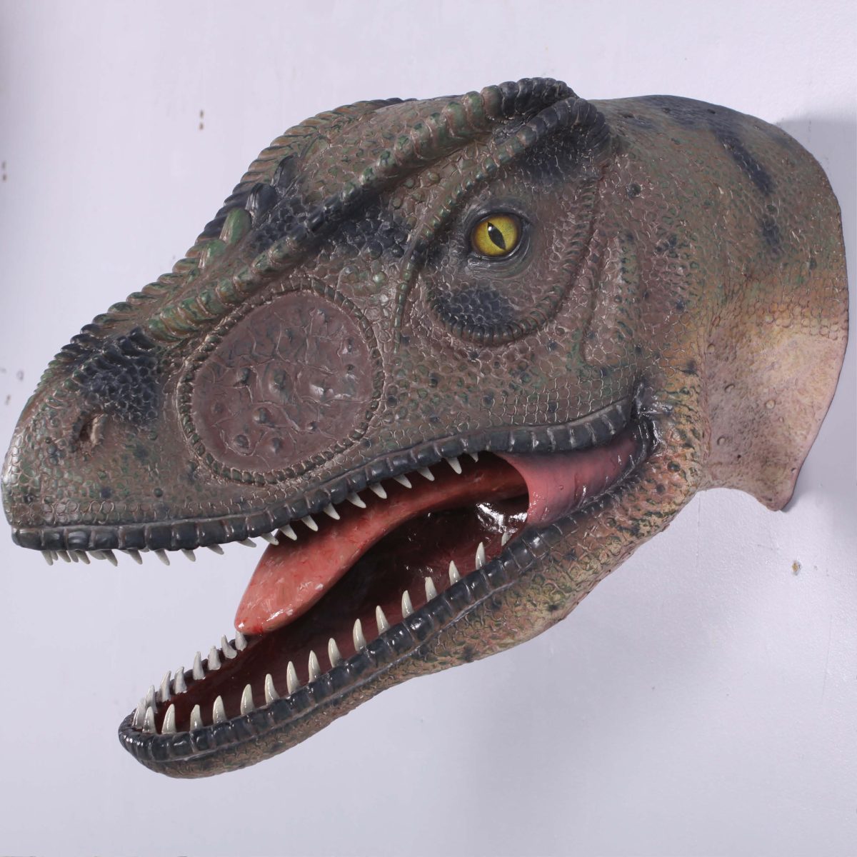 Natureworks Australia Allosaurus_Head_&_Neck_Only_Mouth_Open-100052 -showing bracket for wall mounting - close up of head