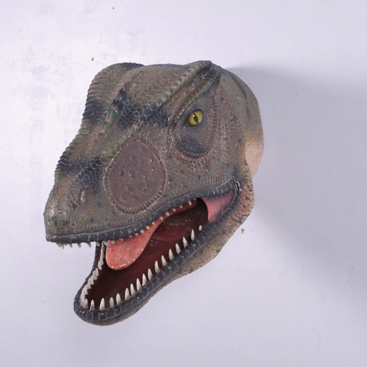 Natureworks Australia Allosaurus_Head_&_Neck_Only_Mouth_Open-100052 - front view- on wall