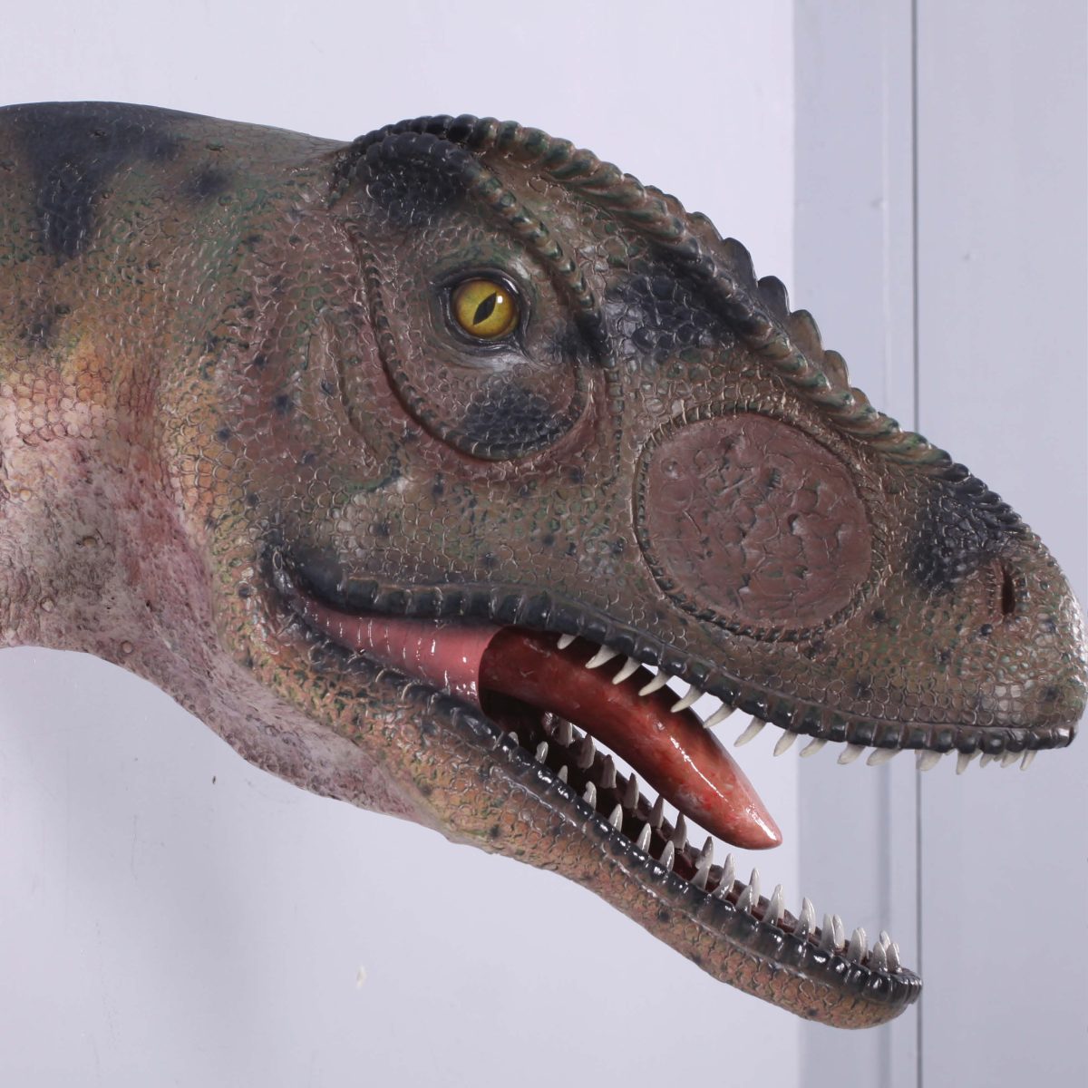 Natureworks Australia Allosaurus_Head_&_Neck_Only_Mouth_Open-100052 - side view