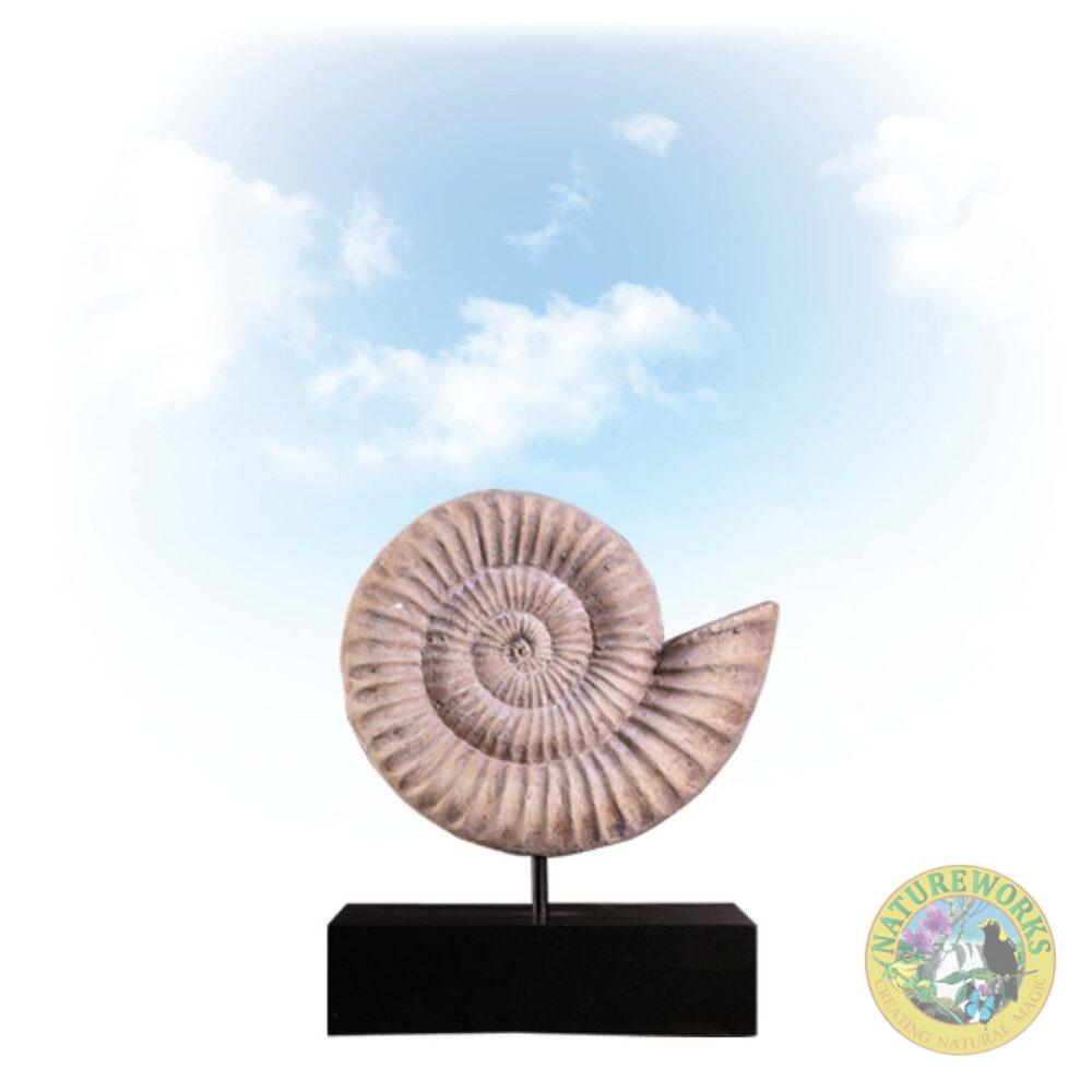 Natureworks Australia Ammonite Shell Fossil - Small on base-
