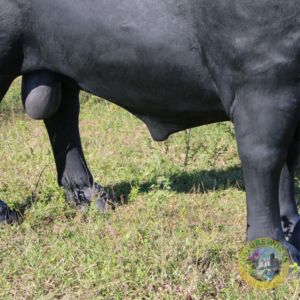 Natureworks Australia Black Angus Bull - Image 7