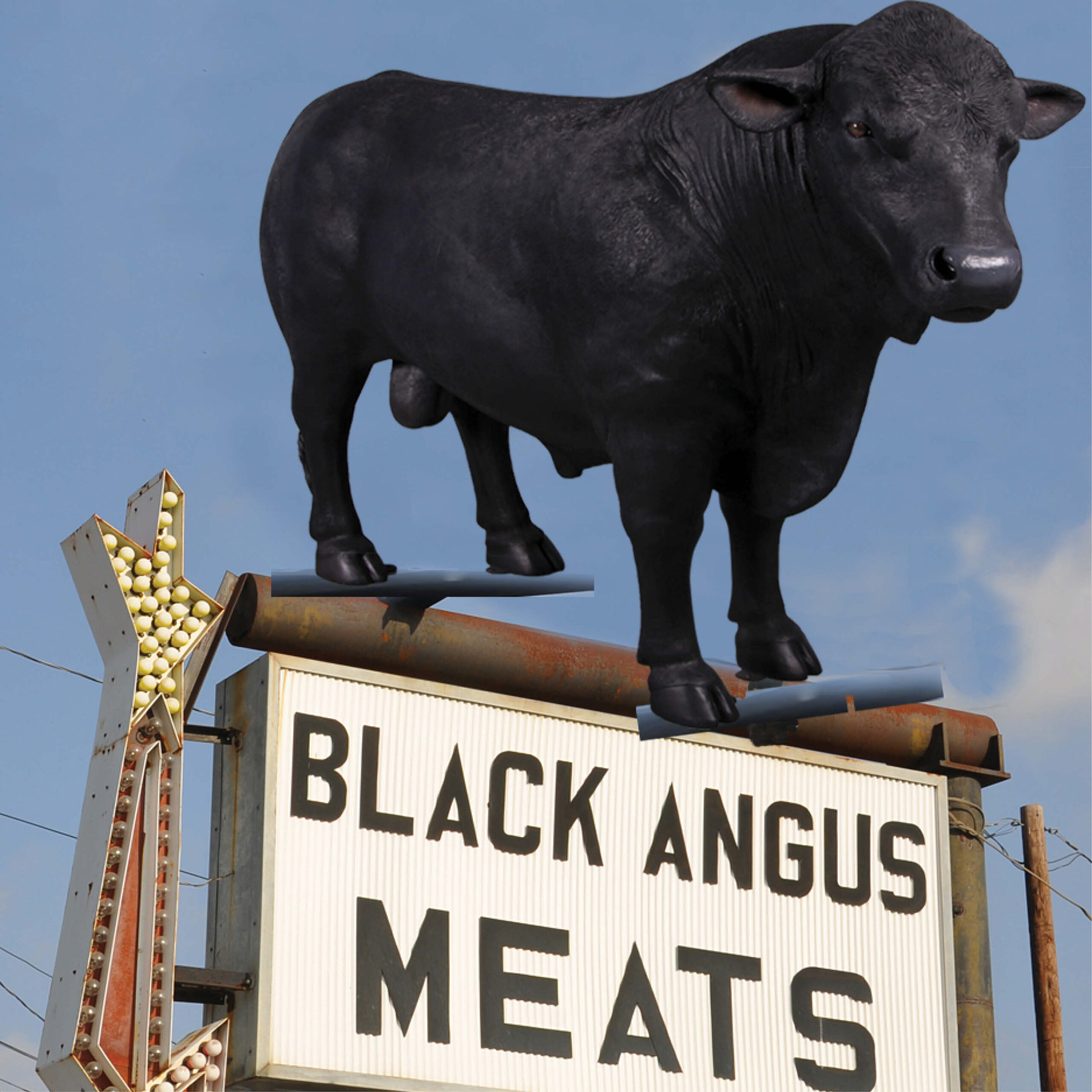 Natureworks Australia Angus Bull - Standing - lifesize replica statue - 150355BL - shown on top of a sign