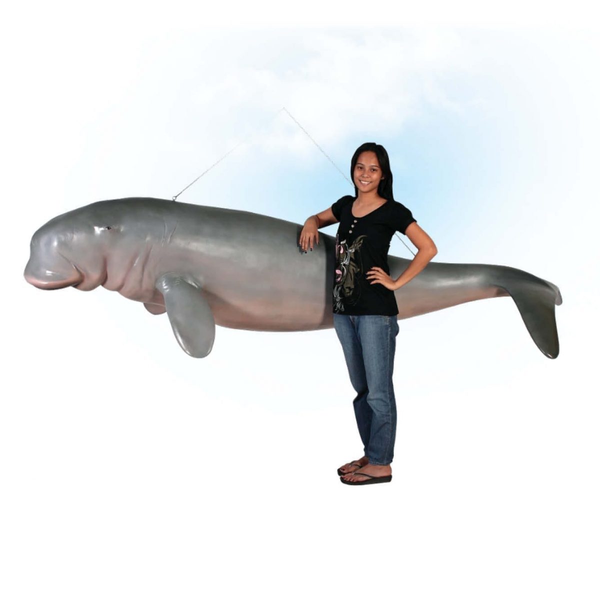 Natureworks Australia Animals Marine Life Marine Mammals Dugong hanging Product Image V px px