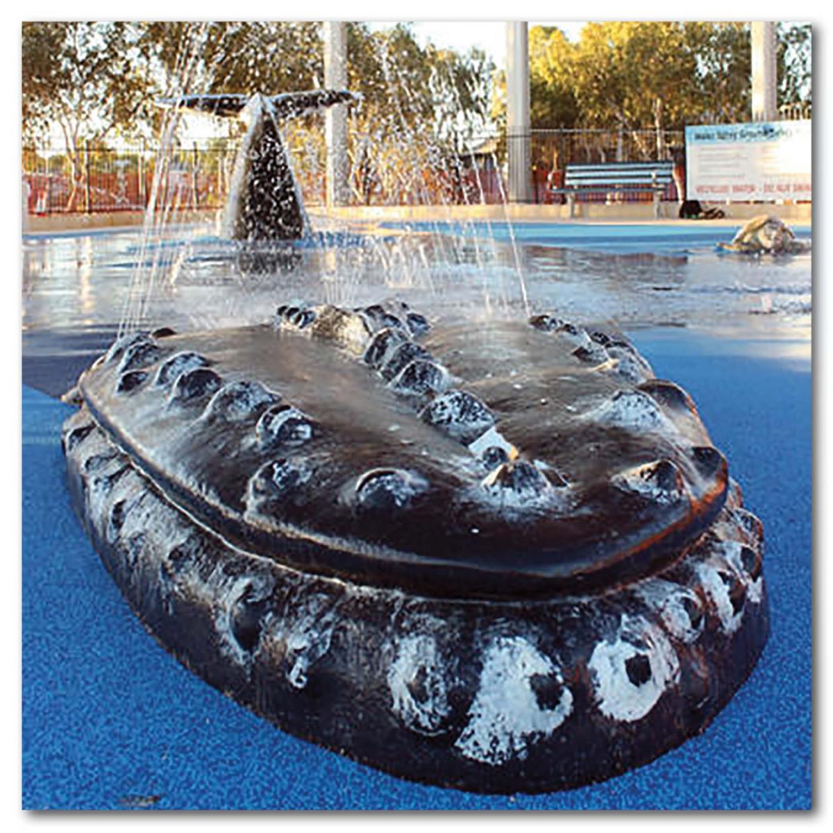 Natureworks Australia Animals Marine Life Marine Mammals Whales Exmouth Whale Water Park Product Image V px px