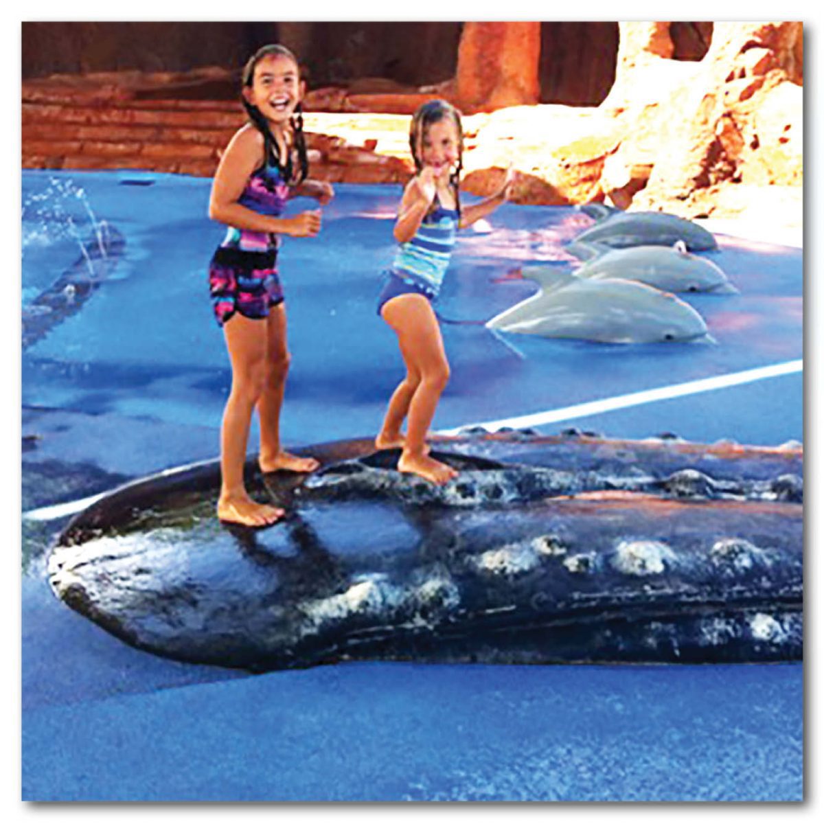 Natureworks Australia Animals Marine Life Marine Mammals Whales Exmouth Whale Water Park Product Image V px px