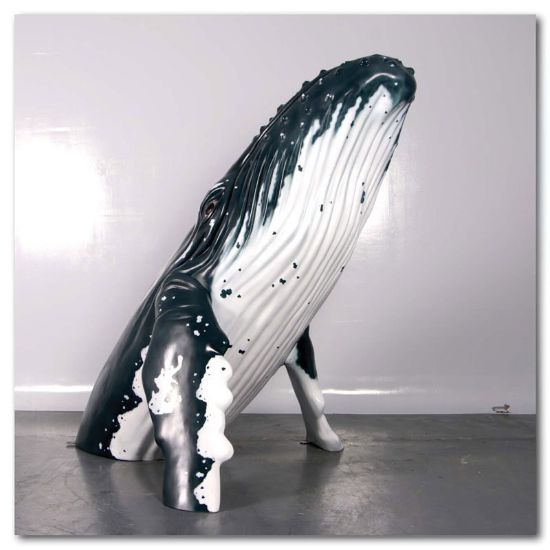 Natureworks Australia Humpback Whale 2