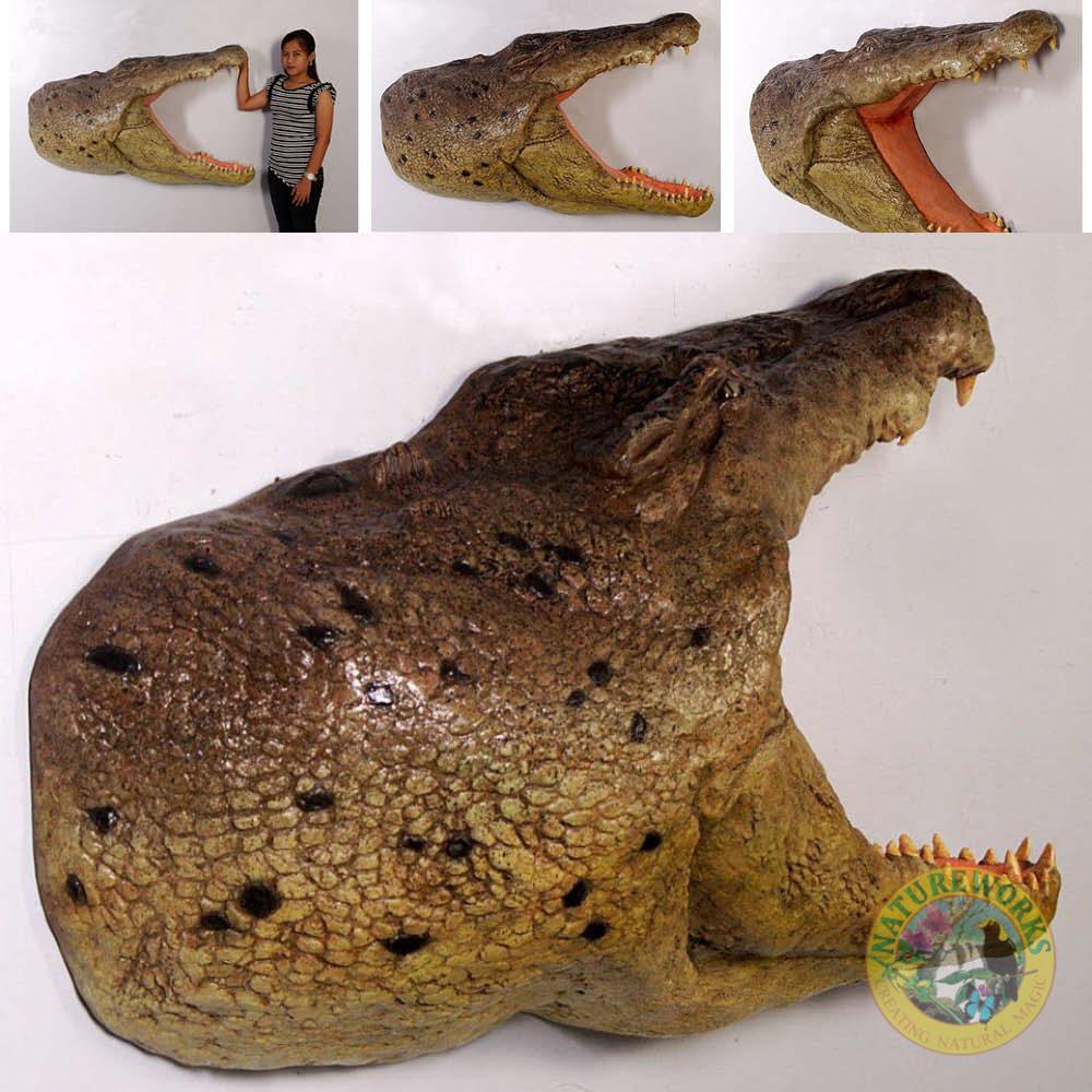 Natureworks Australia Crocodile head wall plaque - 110086 - showing various view