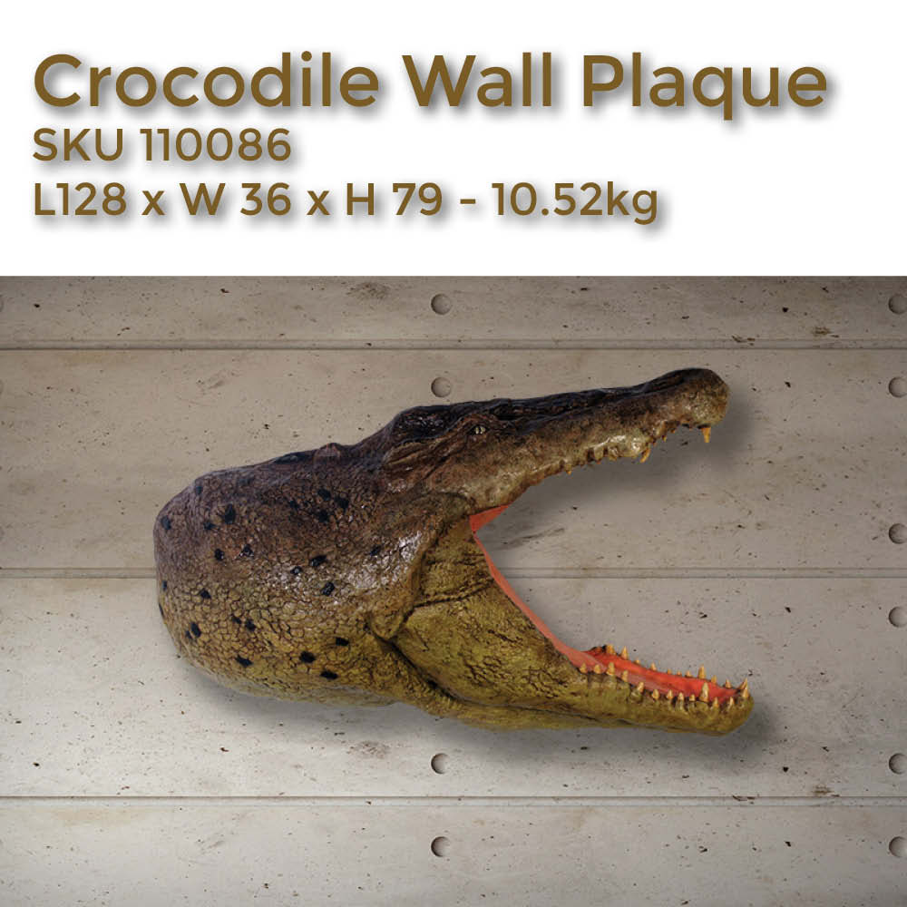 Natureworks Australia Crocodile head wall plaque - 110086 - showing various view - shown on wall with sizes