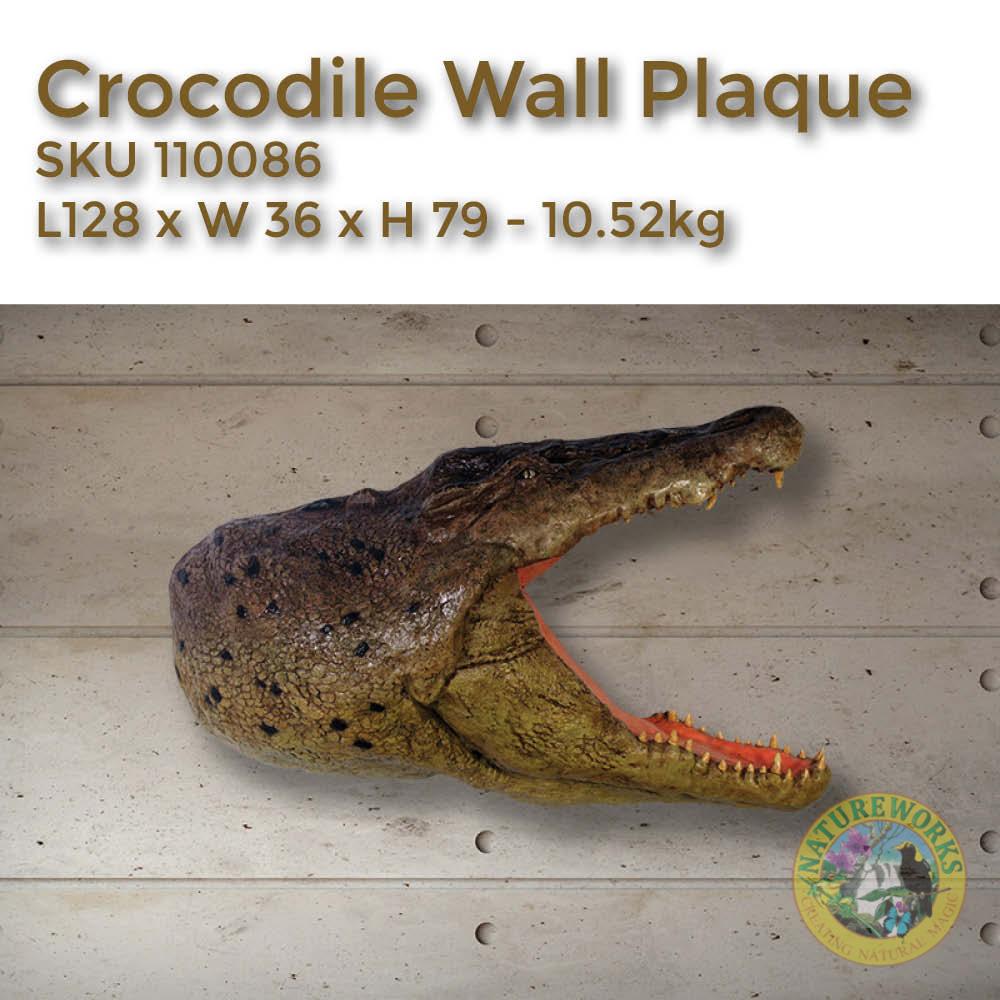 Natureworks Australia Crocodile head wall plaque - 110086 - showing various view - shown on wall with sizes
