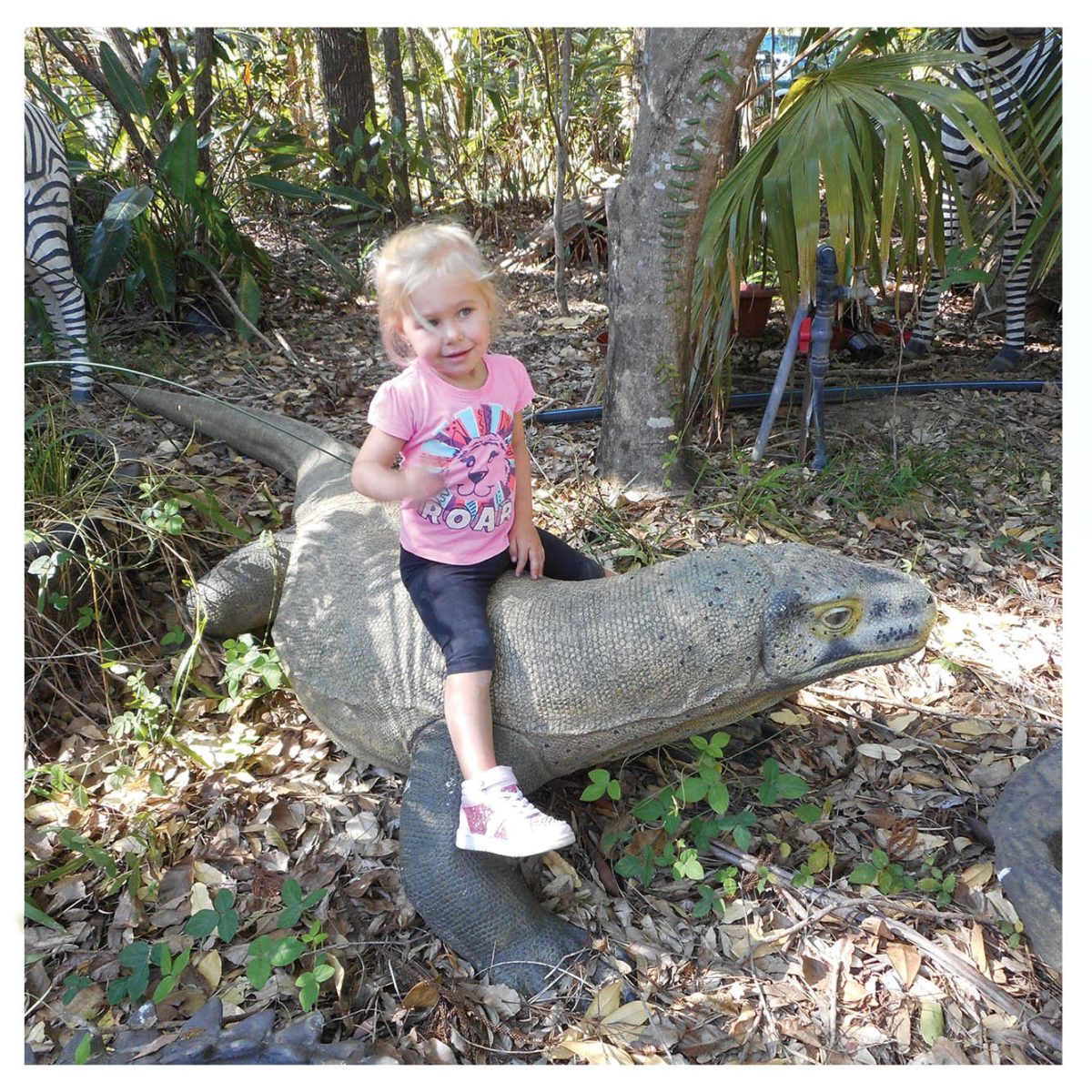 Natureworks Australia Animals Reptiles Lizards Komodo Dragon Natural Product Image V px px