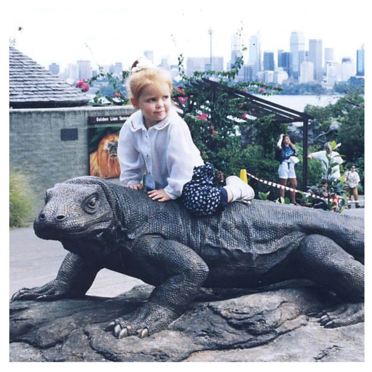 Natureworks Australia Animals Reptiles Lizards Komodo Dragon Taronga zoo Product Image V px px