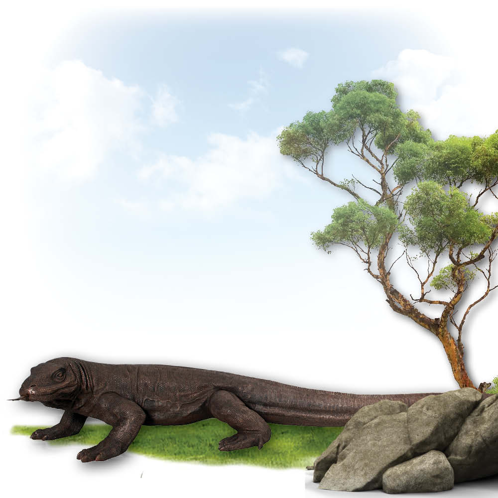 Natureworks Australia Komodo Dragon sculpture - front view- 080121 - shown outside