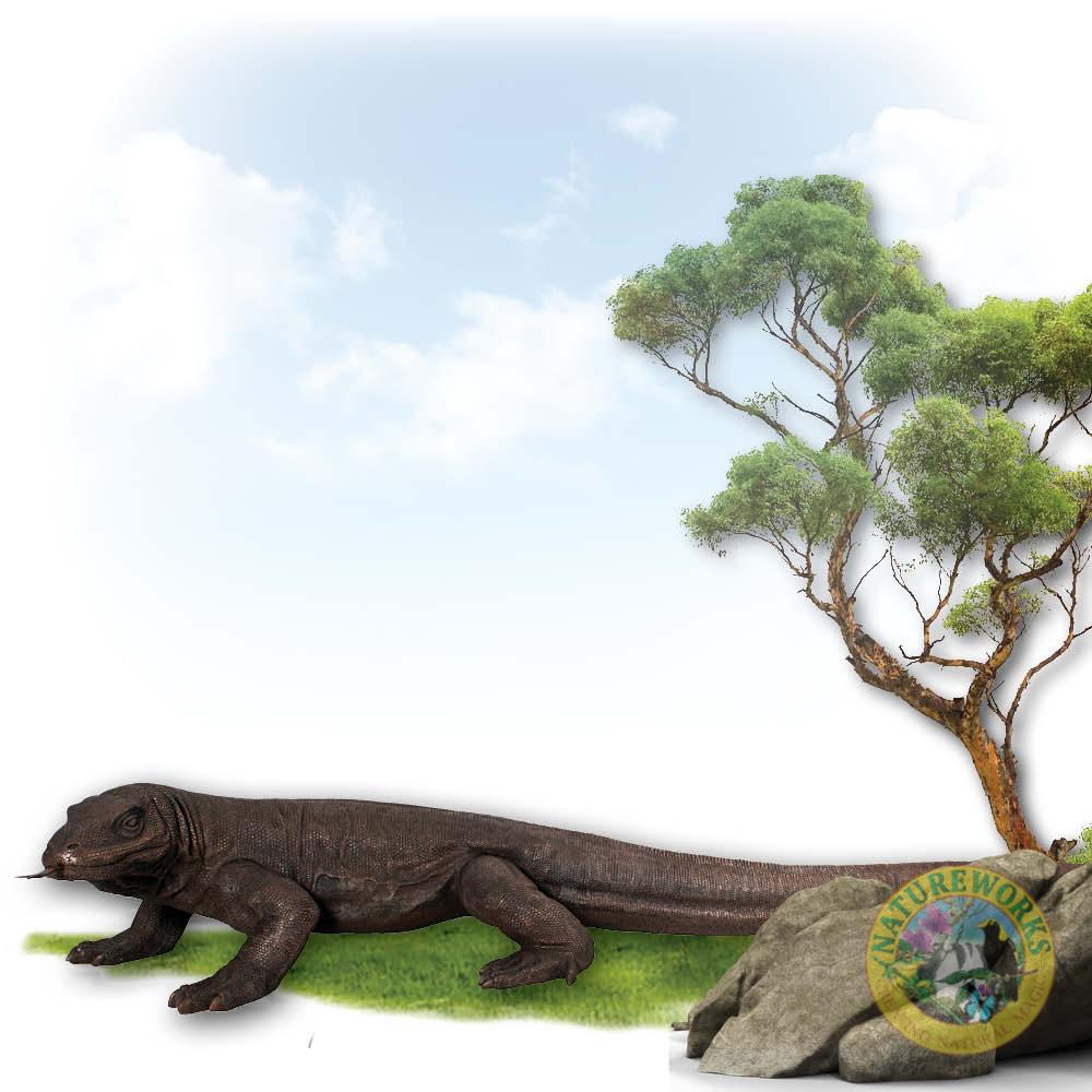 Natureworks Australia Komodo Dragon sculpture - front view- 080121 - shown outside