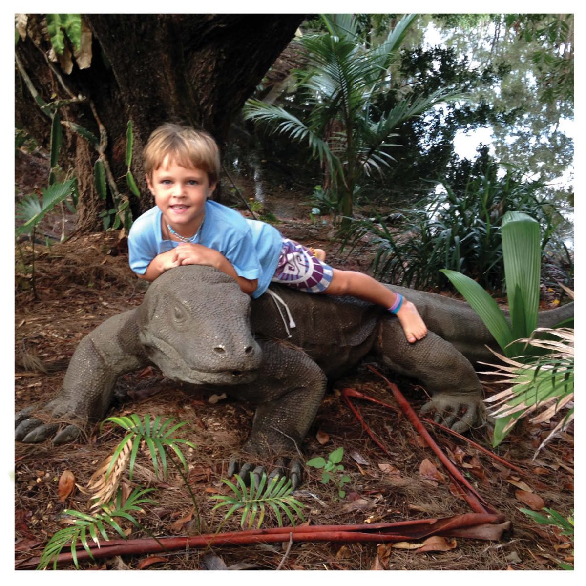 Natureworks Australia Animals Reptiles Lizards Komodo Dragon with Child Product Image V px px