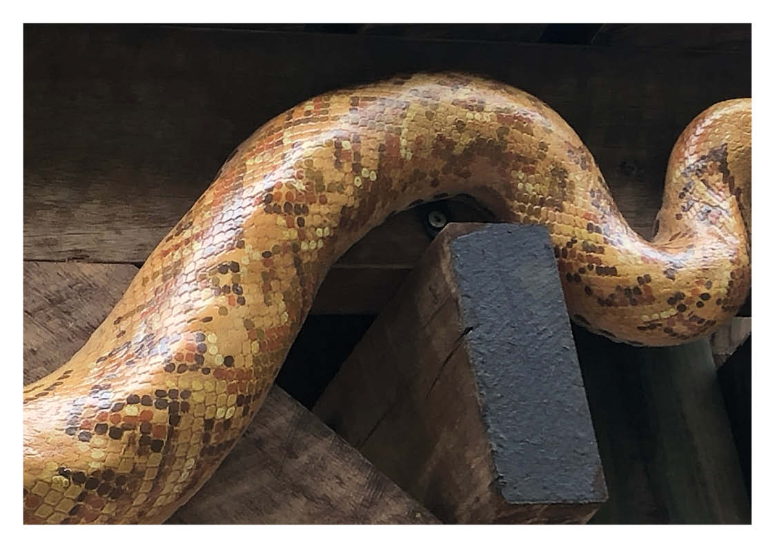 Natureworks Australia Museum quality Amethystiine Python Smake - 090021 sculpture- showing close up of finish paint job