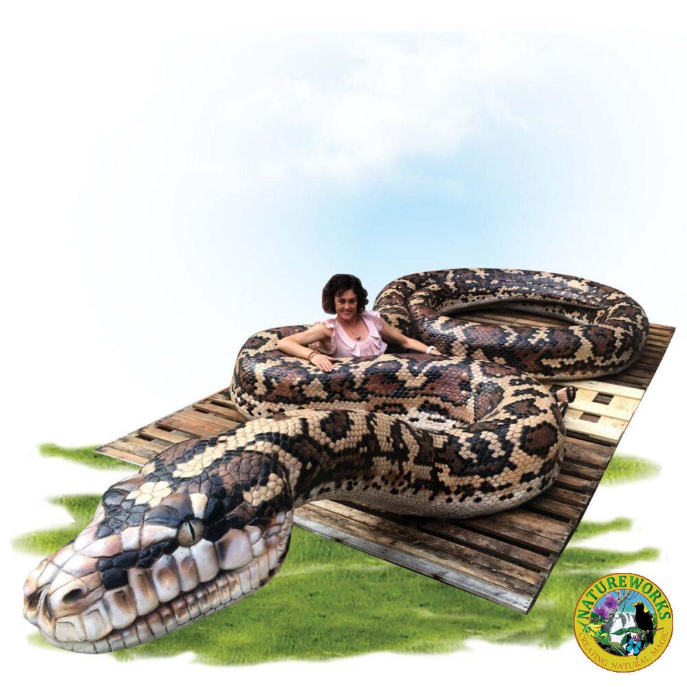 Animals Reptiles Snakes Giant Carpet Python Snake Product Image