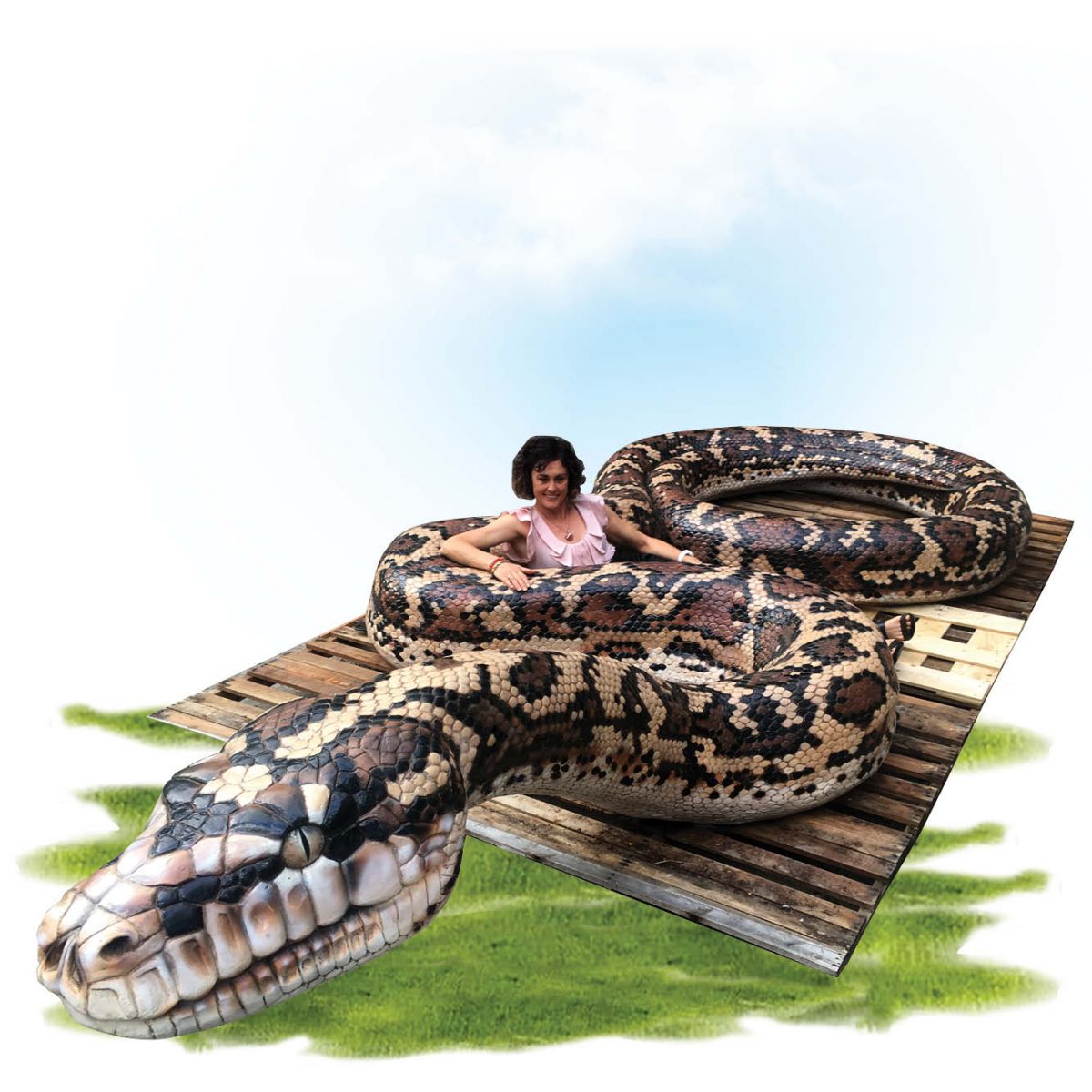 Natureworks Australia Animals Reptiles Snakes Giant Carpet Python Snake Product Image