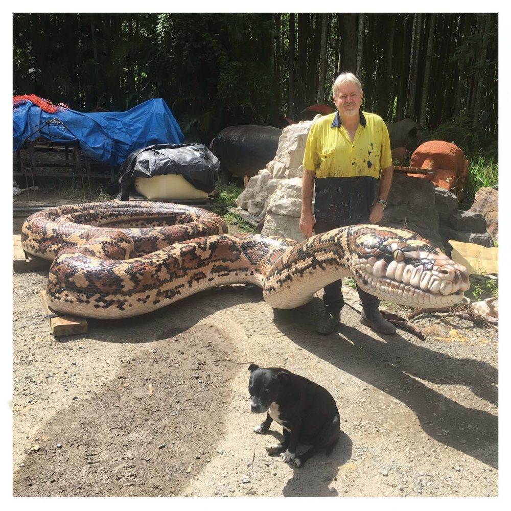Natureworks Australia Animals Reptiles Snakes Giant Carpet Python Snake Rear View Product Image V px px