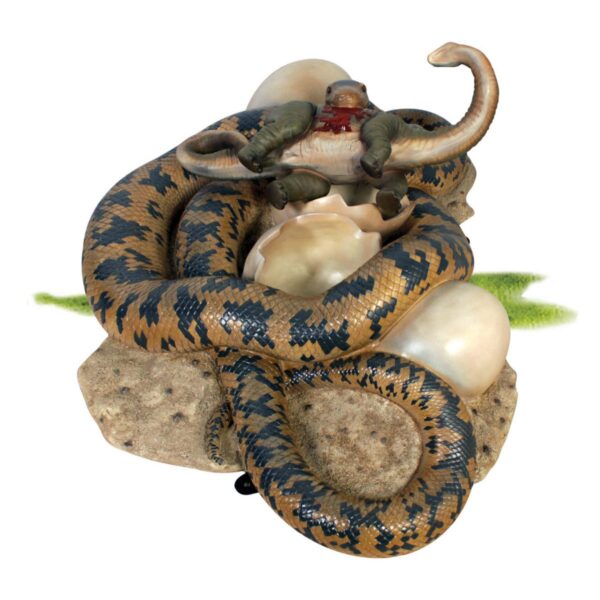 Animals Reptiles Snakes  Snake Python eating baby sauropod Product Image V px px