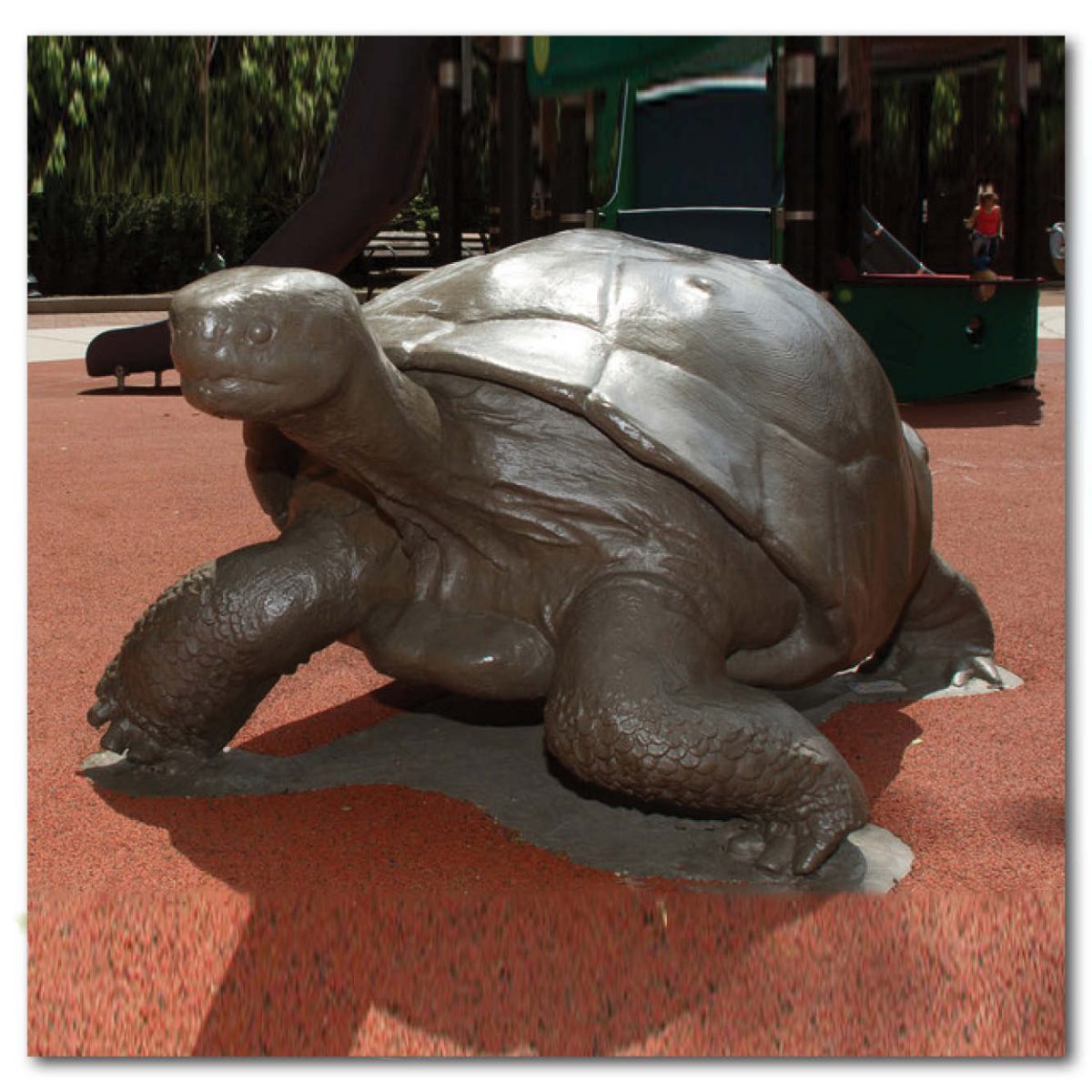 Natureworks Australia Animals Reptiles Tortoise Galapagos Bronze Product Image V px px