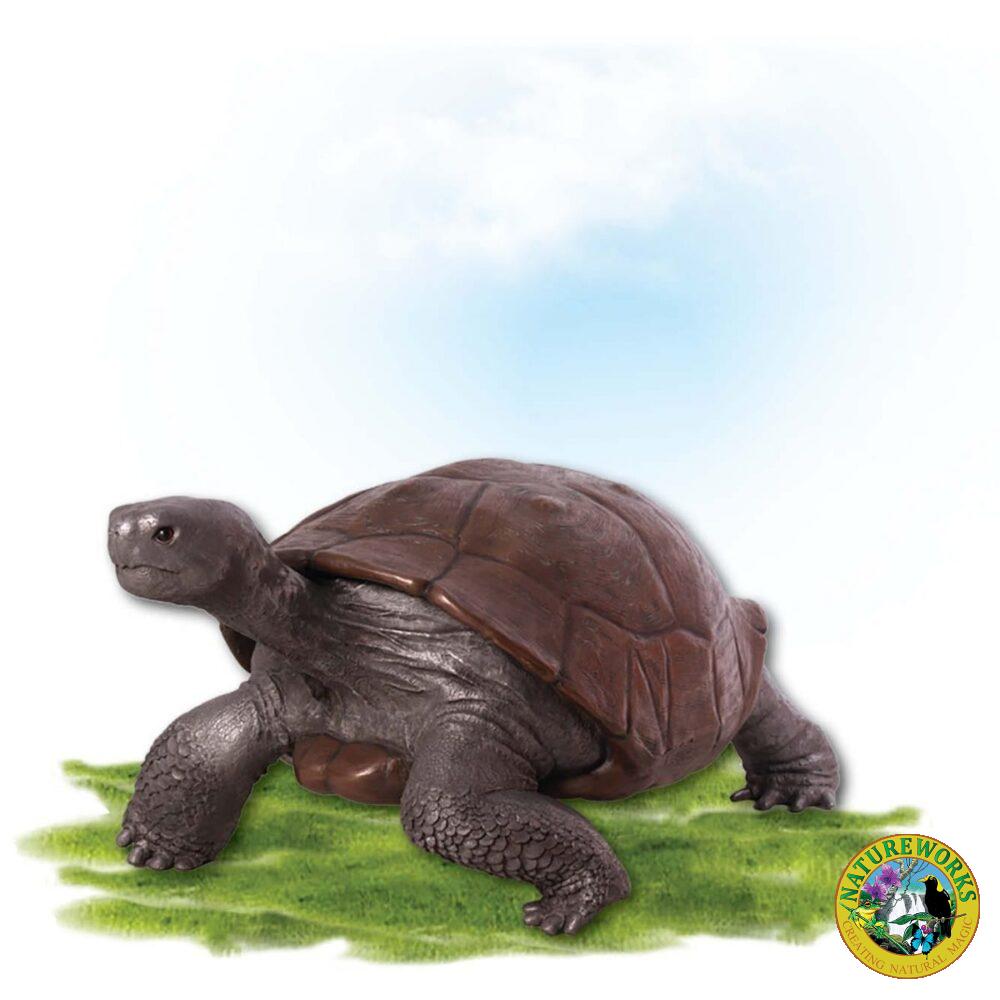 Animals Reptiles Tortoise Galapogos Bronze Aluminium Product Image V px px