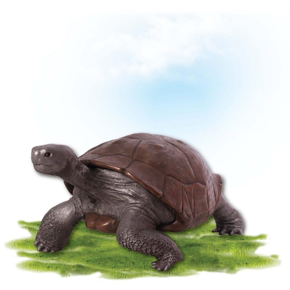 Animals Reptiles Tortoise Galapogos Bronze Aluminium Product Image V px px