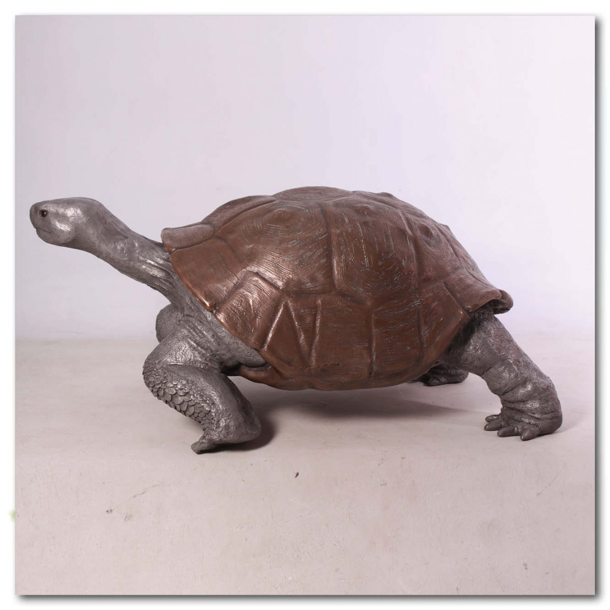 Natureworks Australia Animals Reptiles Tortoise Galapogos Bronze Aluminium Product Image V px px