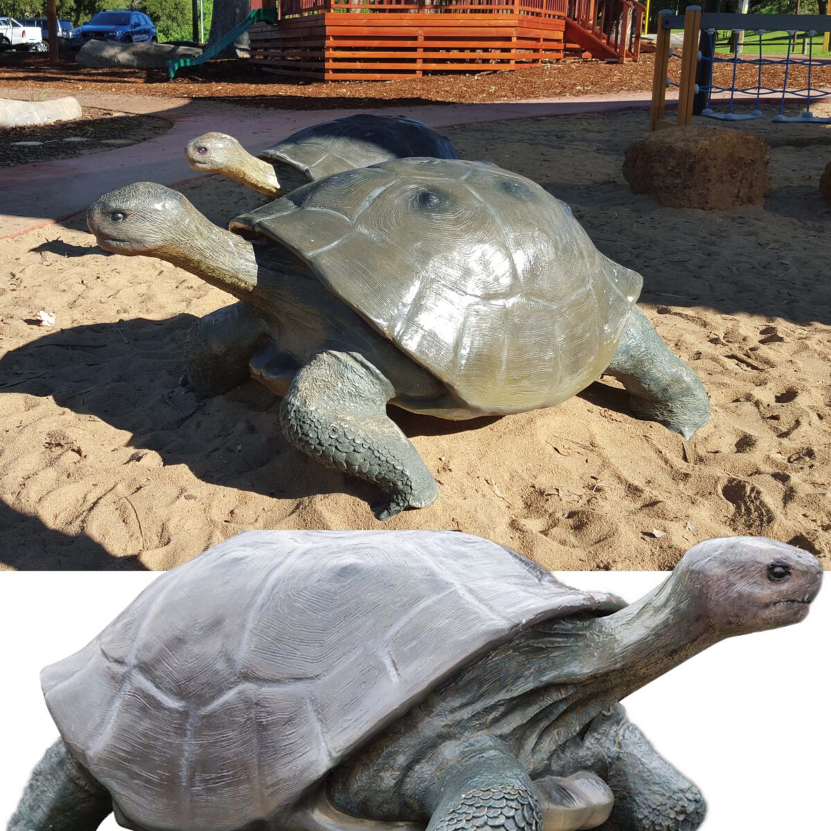 Natureworks Australia Galapagos Tortoise - life-size reporduction -080124 with natural tones and colours amazing handcrafted sculpture- shown in playground