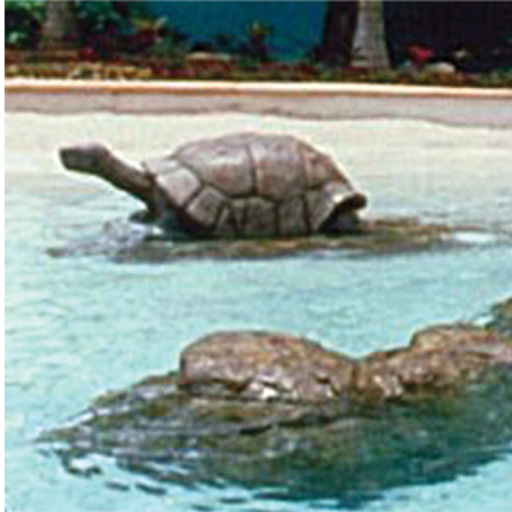 Galapagos Tortoise - life-size reporduction -080124 with natural tones and colours amazing handcrafted sculpture- shown in exmouth water play park - W.A