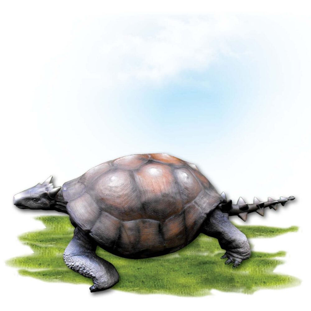 Animals Reptiles Tortoise Meolania Oveni  horned tortoise Product Image V px px