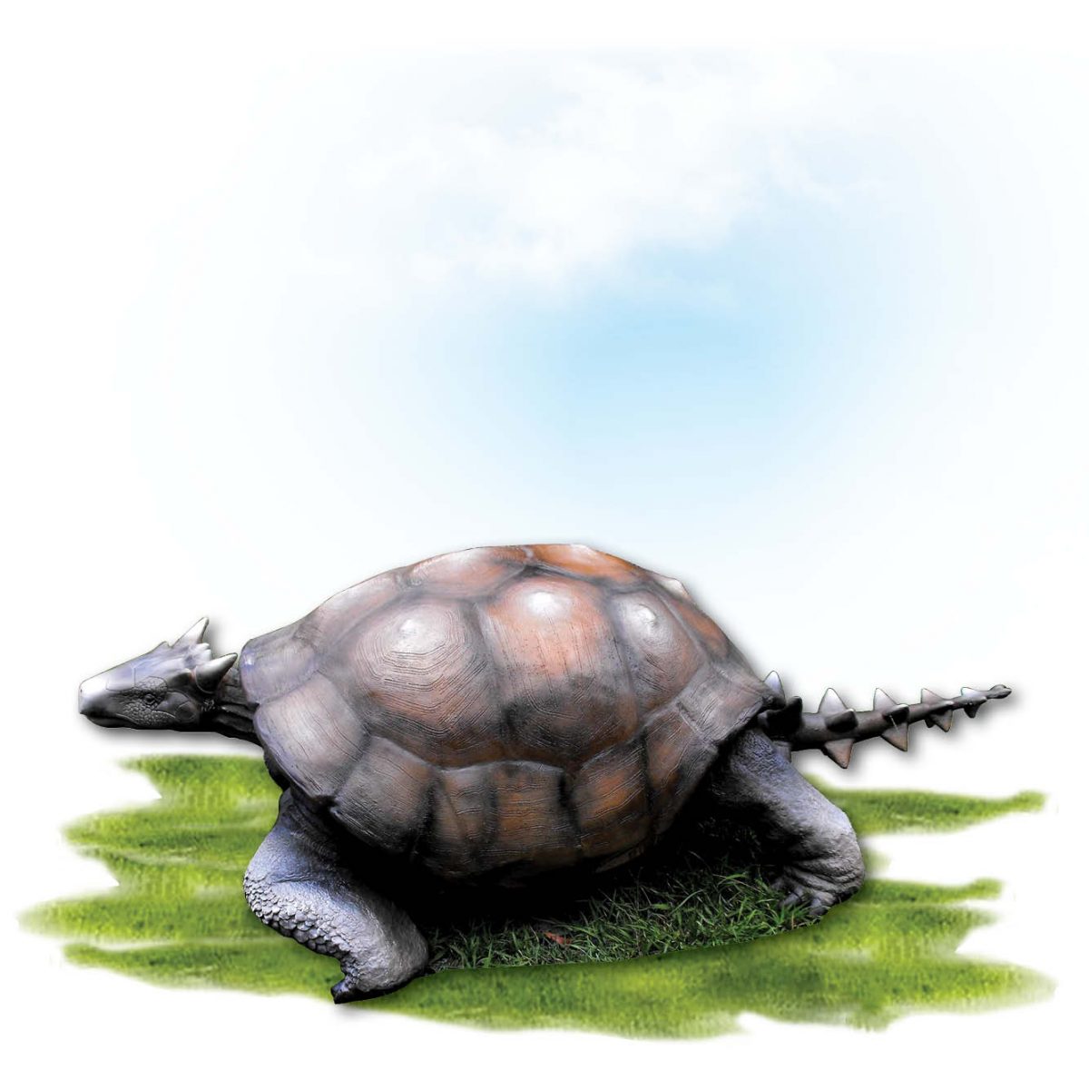 Natureworks Australia Animals Reptiles Tortoise Meolania Oveni horned tortoise Product Image V px px