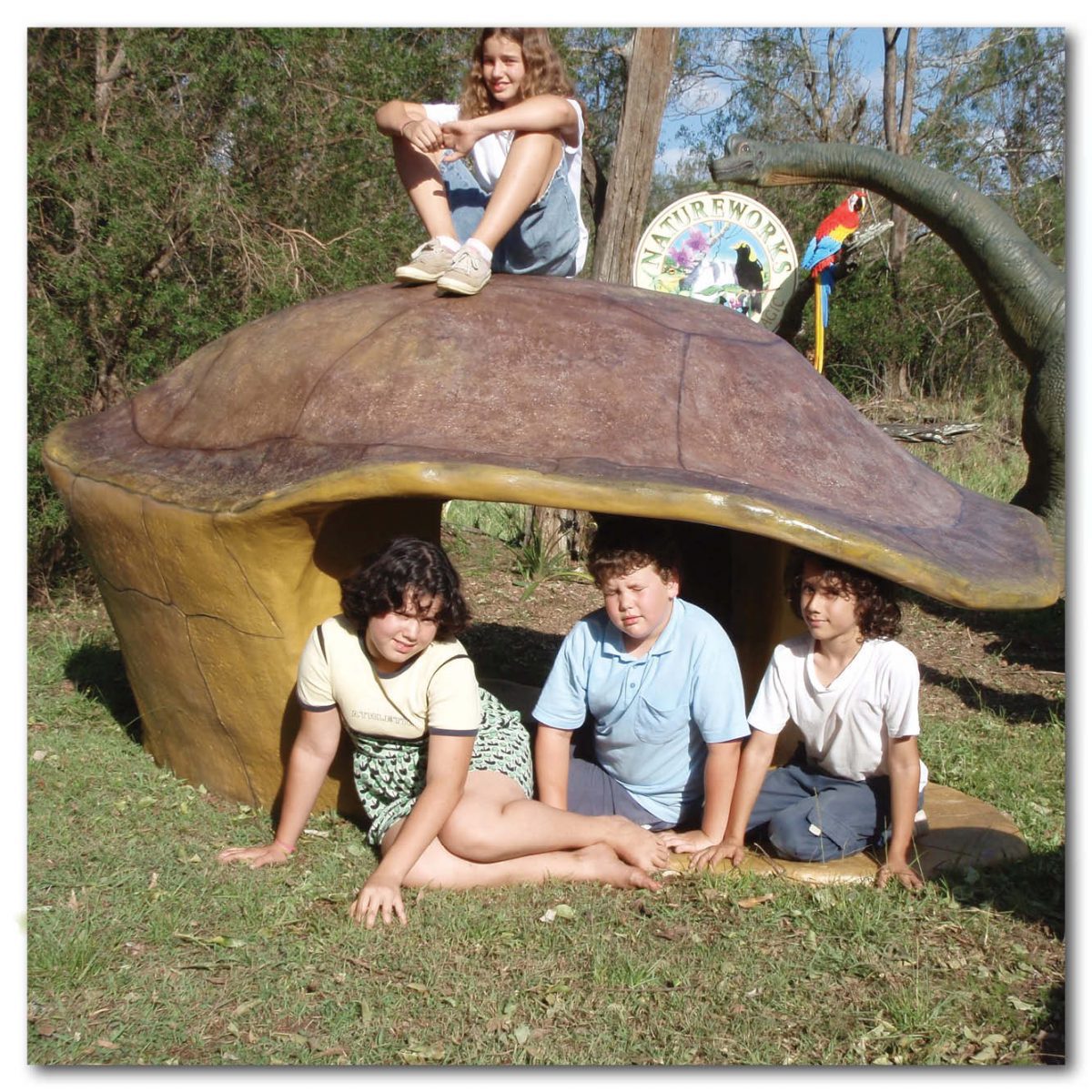 Natureworks Australia Animals Reptiles Turtles Giant Yurtle the turle shell Product Image V px px
