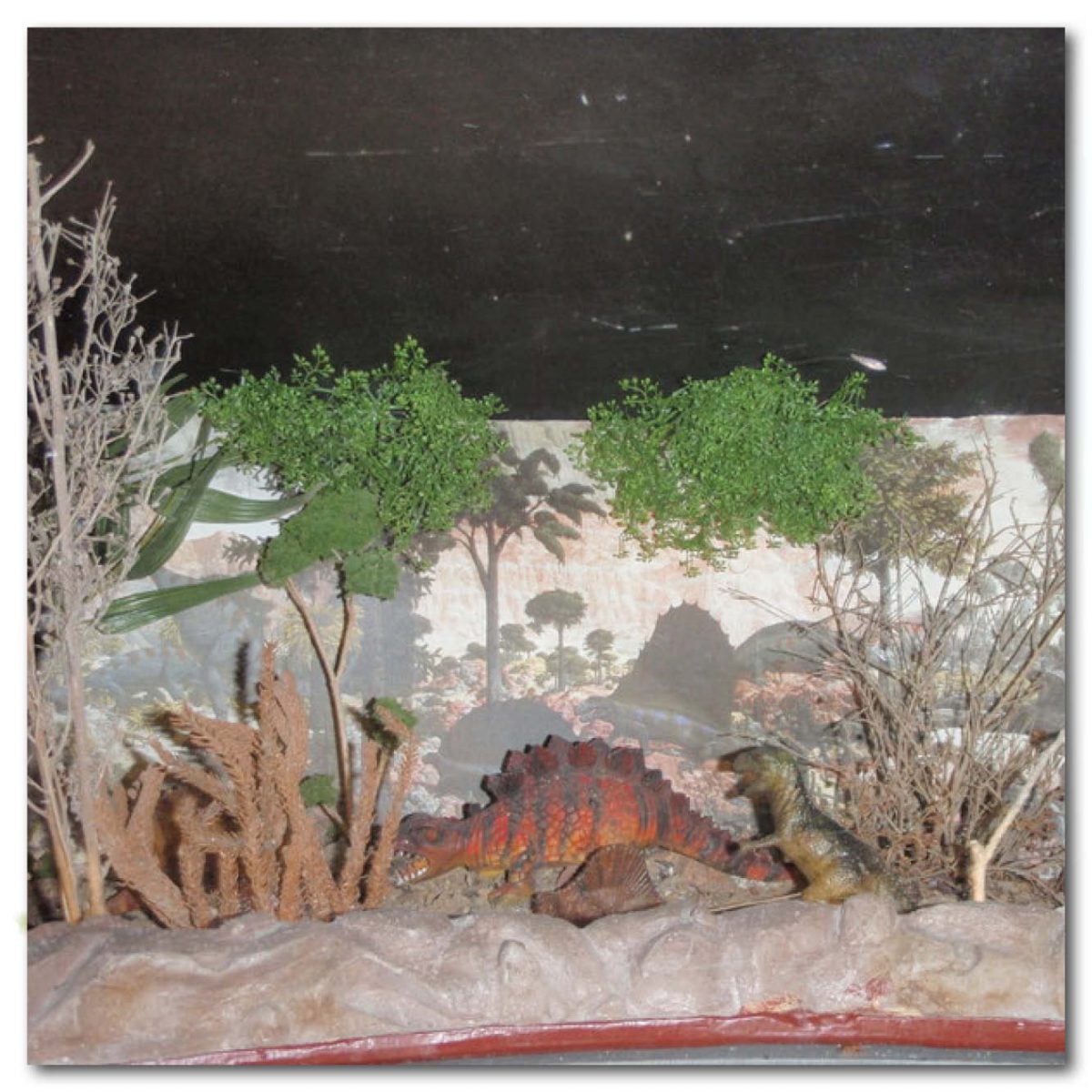 Natureworks Australia Animals Reptiles Turtles Giant Yurtle the turle shell diorama Product Image V px px