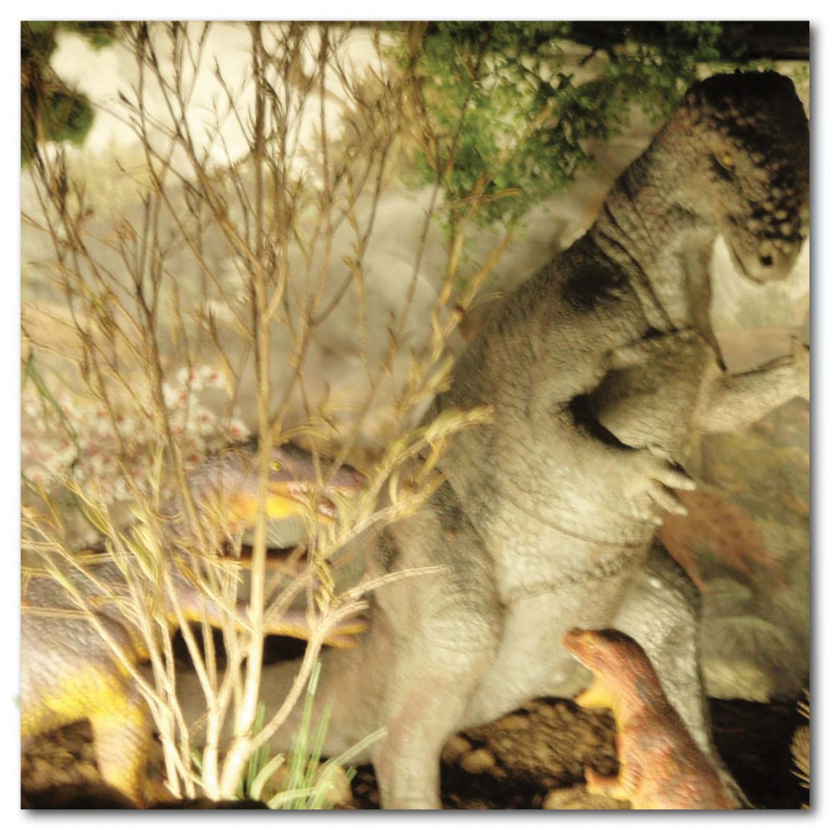 Natureworks Australia Animals Reptiles Turtles Giant Yurtle the turle shell diorama Product Image V px px