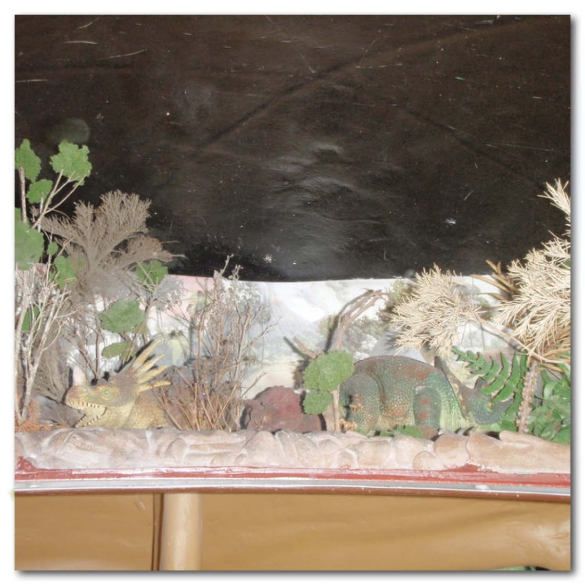 Natureworks Australia Animals Reptiles Turtles Giant Yurtle the turle shell diorama Product Image V px px