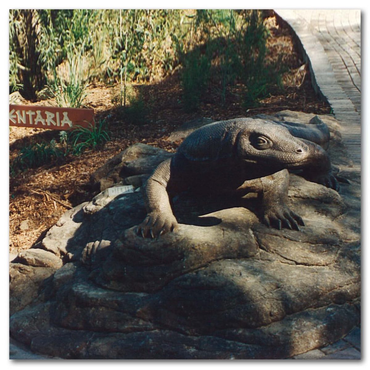 Natureworks Australia Animals Reptiles Lizards Komodo Dragon Bronze Taronga Zoo Serpentaria Product Image V px px
