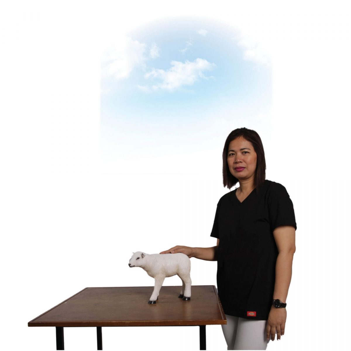 Natureworks Australia Lamb Texelaarstatue FarmyardProp SmallinStandingPose