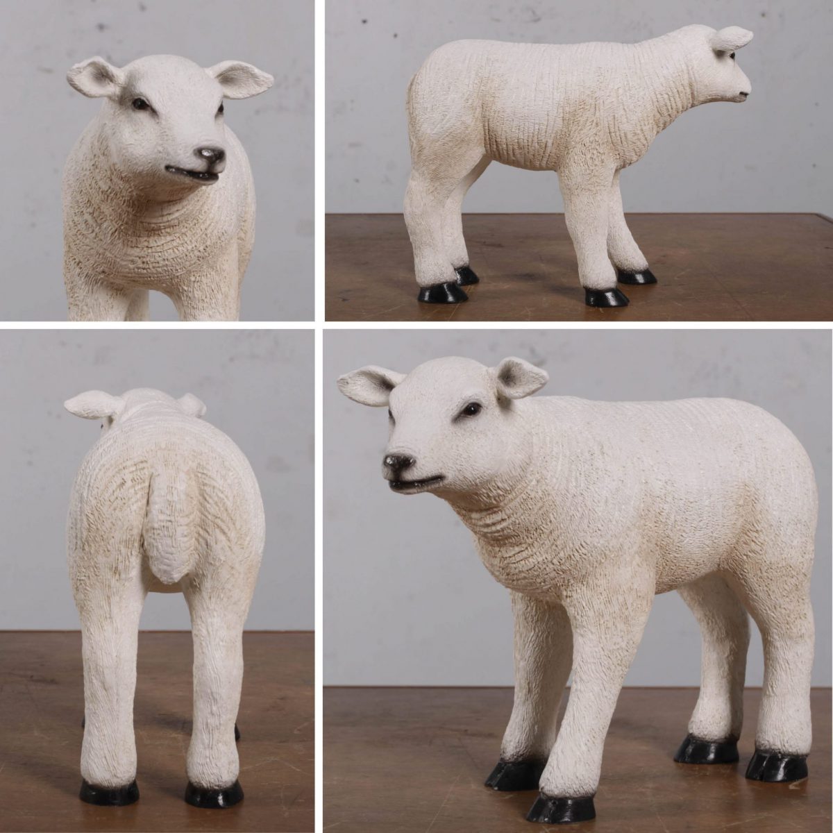 Natureworks Australia Lamb Texelaarstatue FarmyardProp SmallinStandingPose