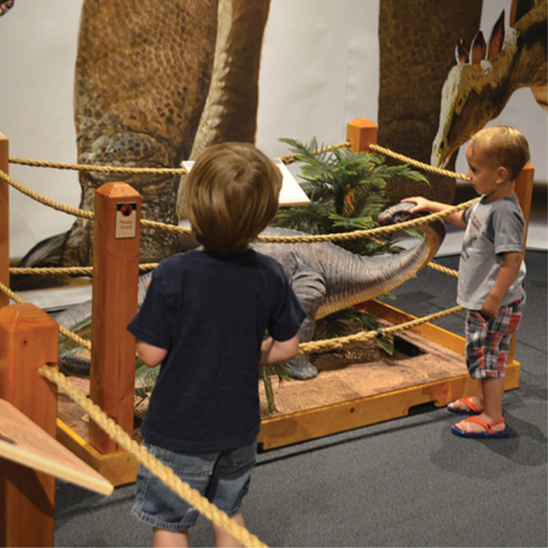 Natureworks Australia Apatosaurus dinosaur sculpture shown in museum setting with children